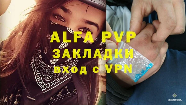 стафф Бронницы