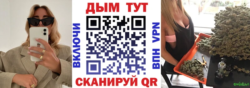 Каннабис индика  где найти   Будённовск 